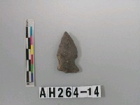 藏品(打製帶鋌石鏃)的圖片